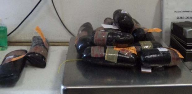 Drug dog sniffs out coke, meth, heroin
